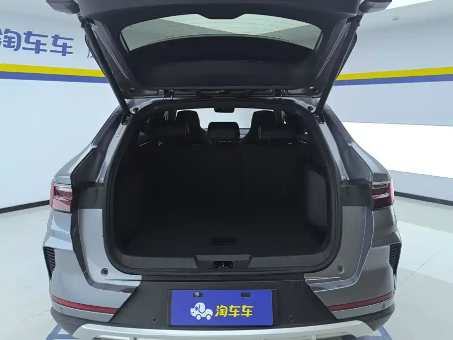 BYD PLUS New Energy — миниатюра 4