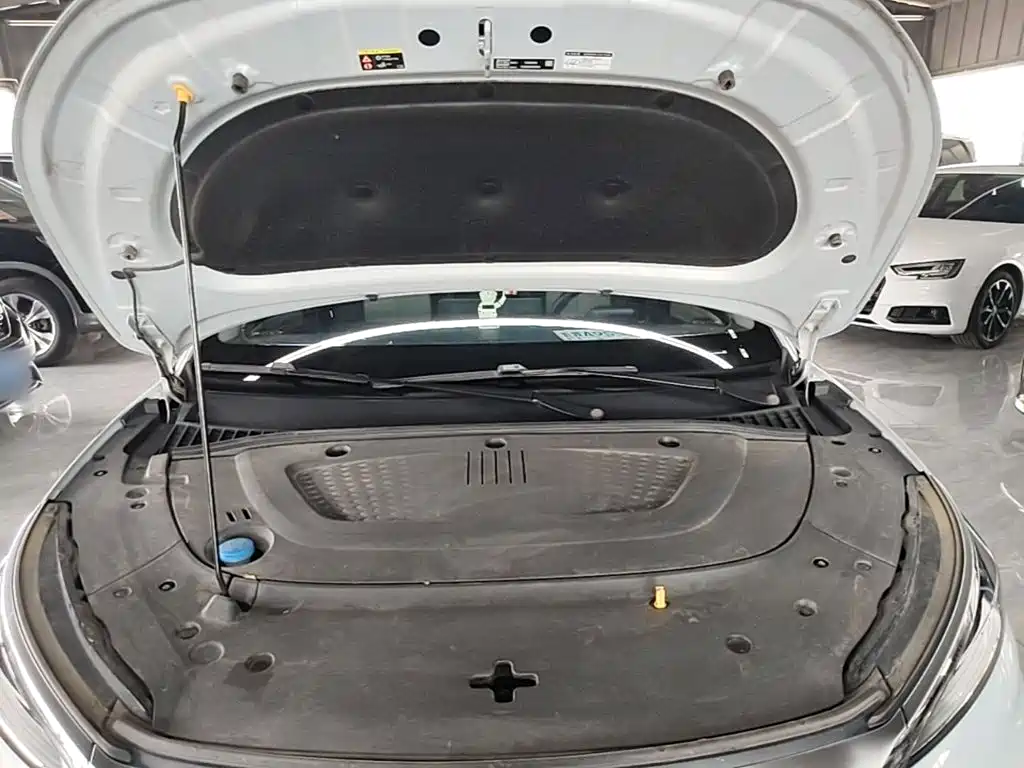 BYD Yuan Plus — миниатюра 20