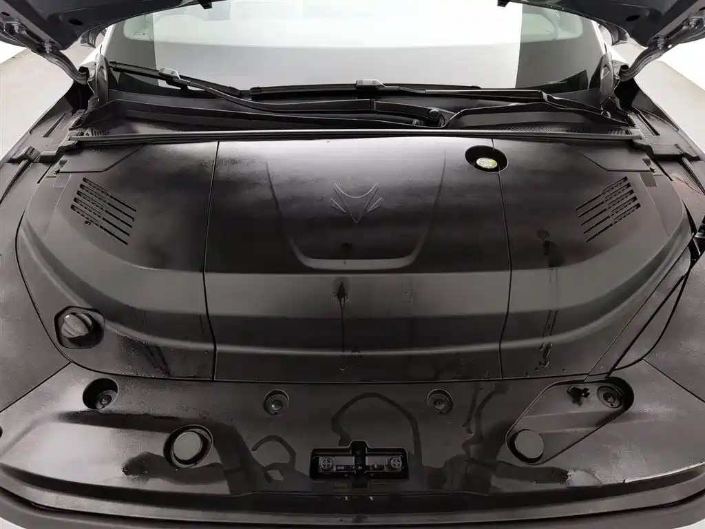 ARCFOX EXTREME FOX POLAR FOX ALPHA S5