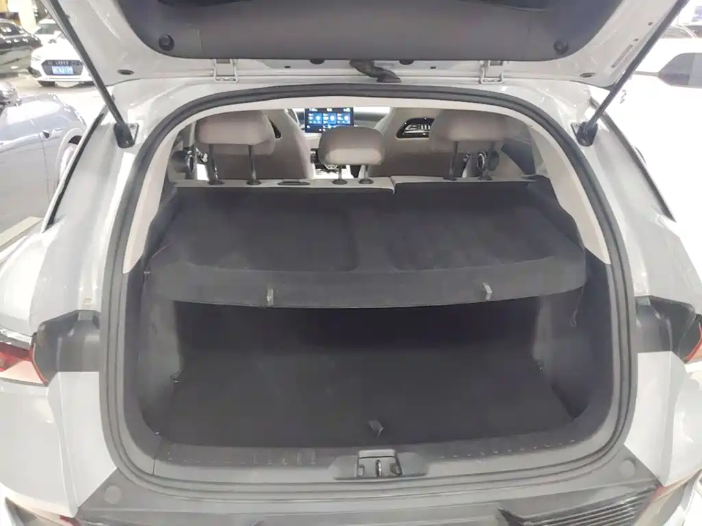 BYD Yuan Plus — миниатюра 19