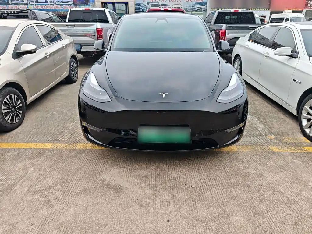 Tesla Model Y — миниатюра 22