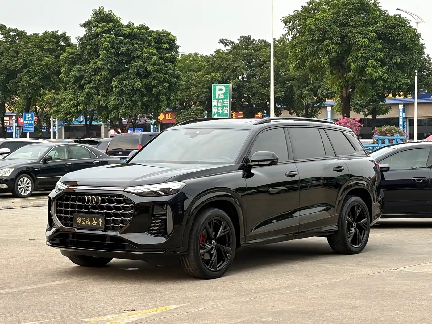奥迪Q6 2024款 45 TFSI quattro 黑武士版 6座 2024