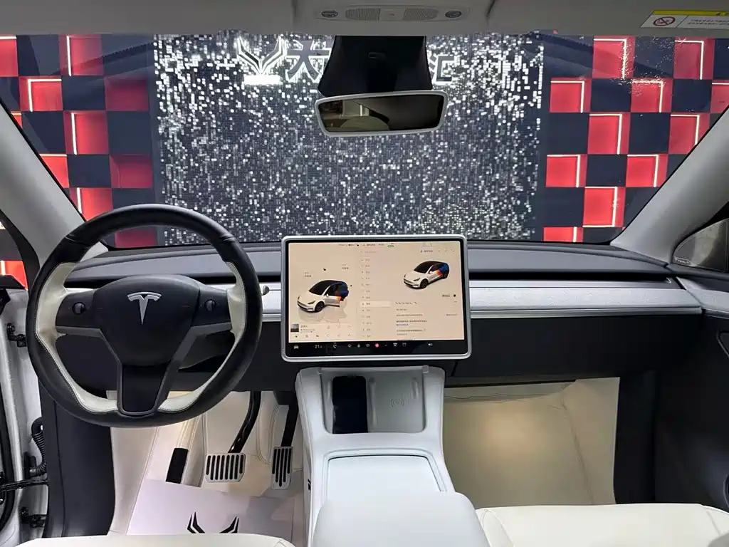 Tesla Model Y — миниатюра 12