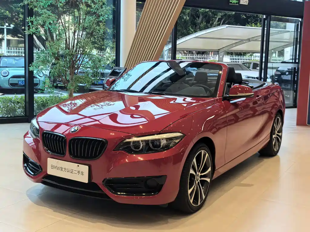 BMW 2 Series (Import)
