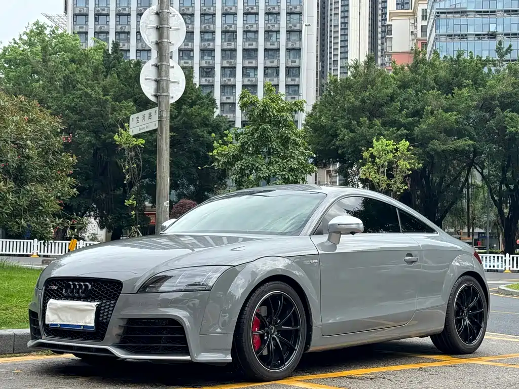 Audi TT 2010