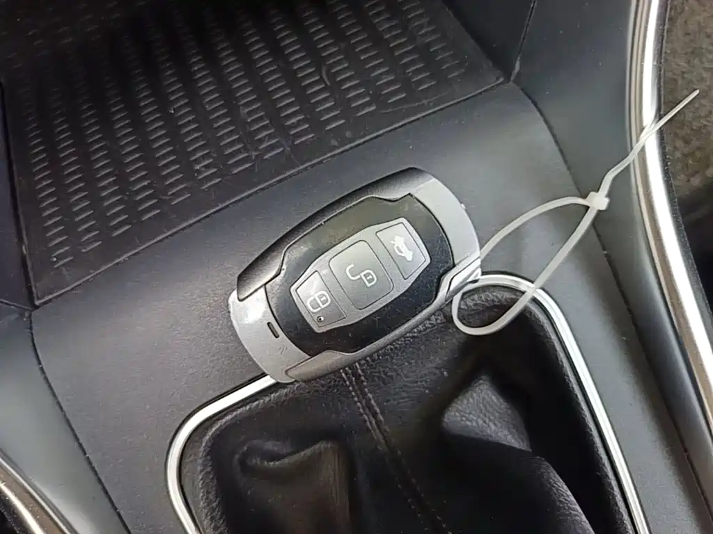 BYD Song — миниатюра 9