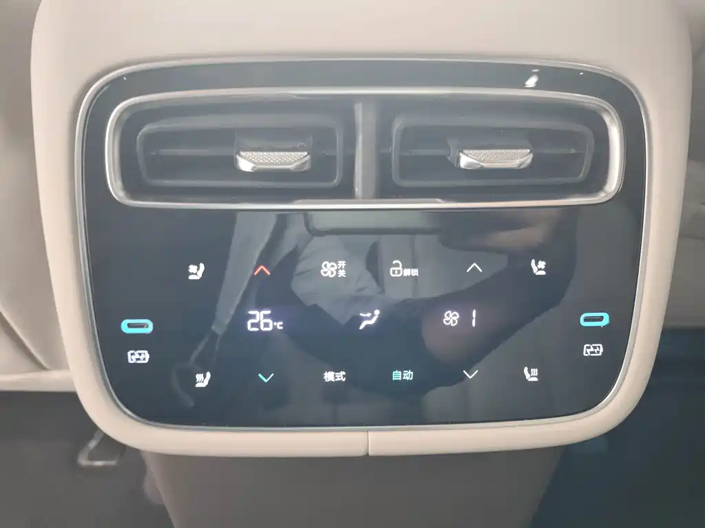 Denza Denza N8L — миниатюра 15