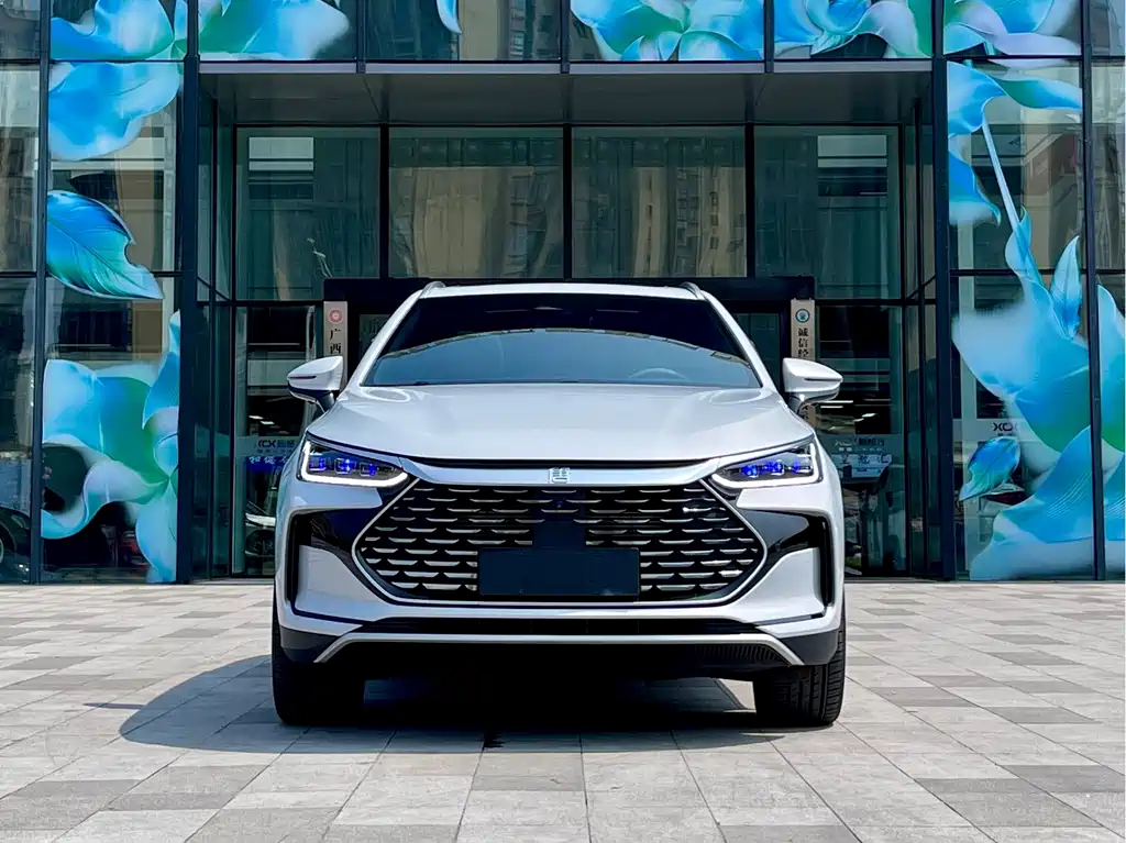 BYD Tang New Energy — миниатюра 2