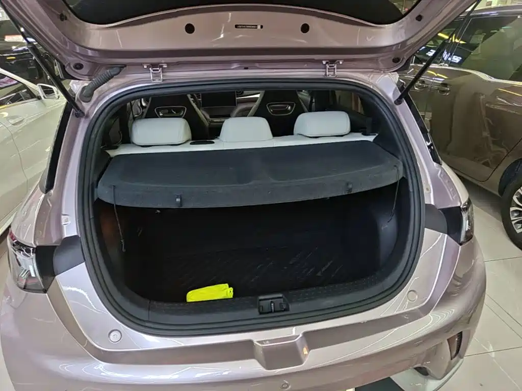 BYD Dolphin — миниатюра 19