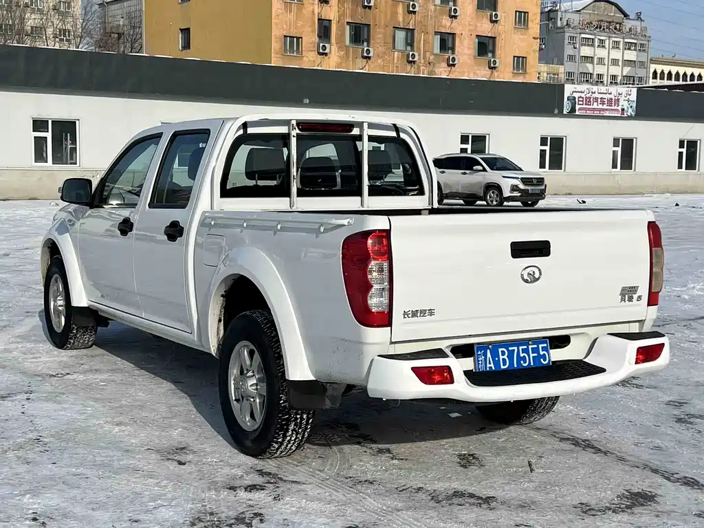 GREAT WALL FENGJUN 5