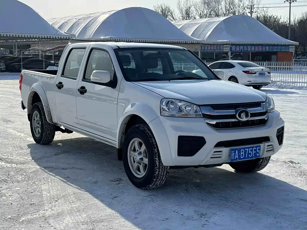 GREAT WALL FENGJUN 5