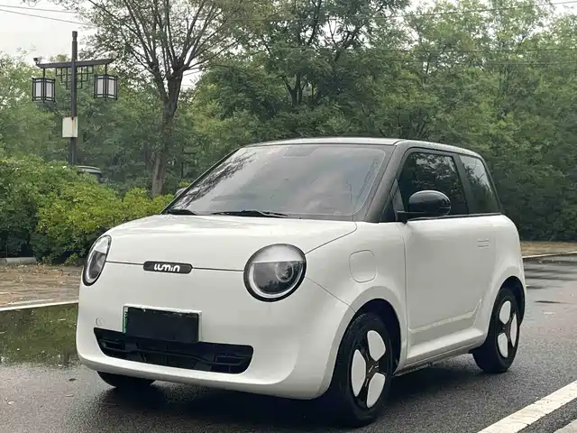 2024 Changan Lumin