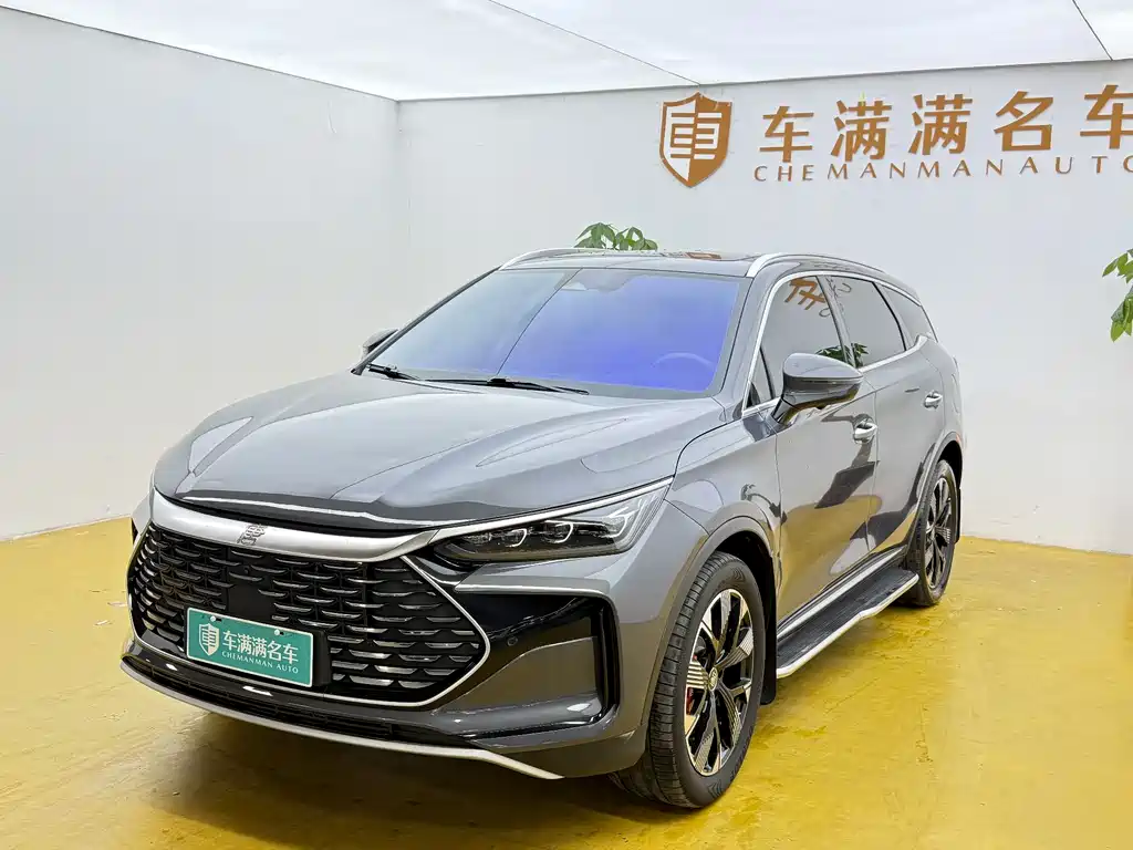 Byd Tang New Energy 2024