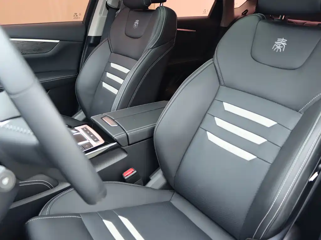 BYD Qin Pro NEV — миниатюра 7