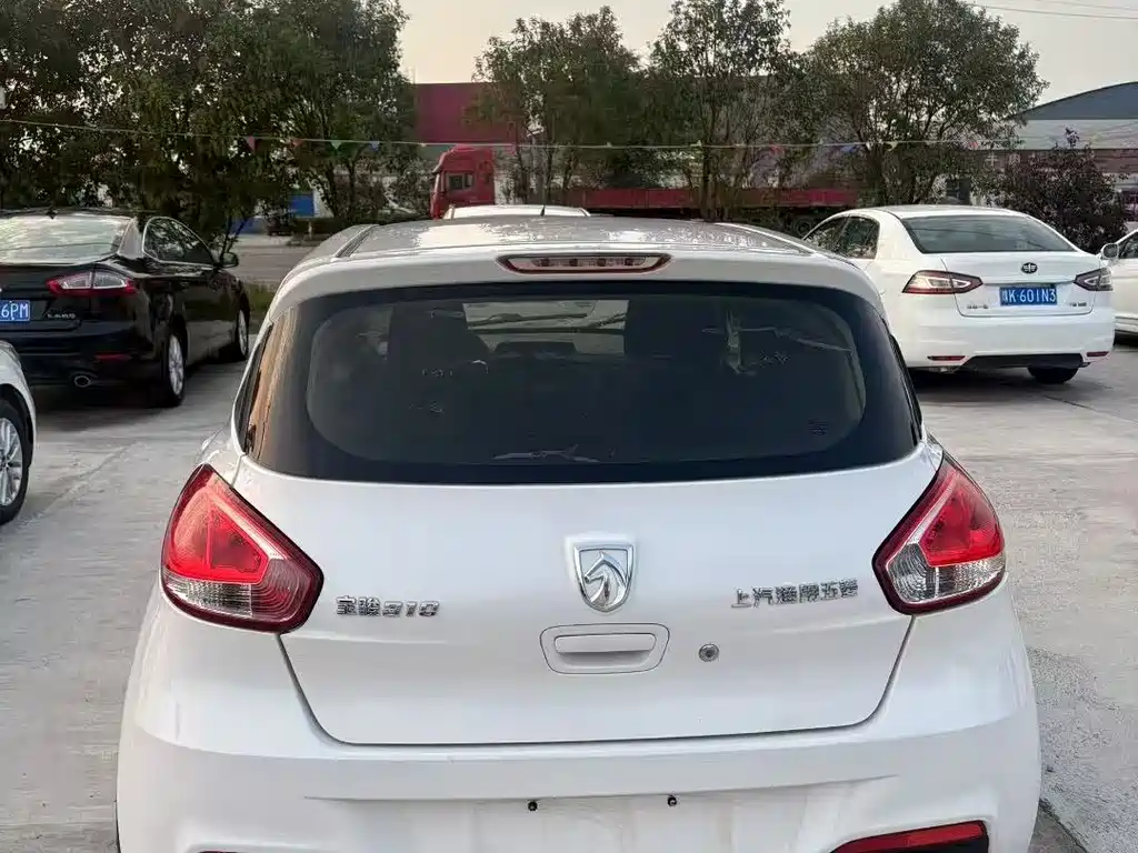 BAOJUN  310