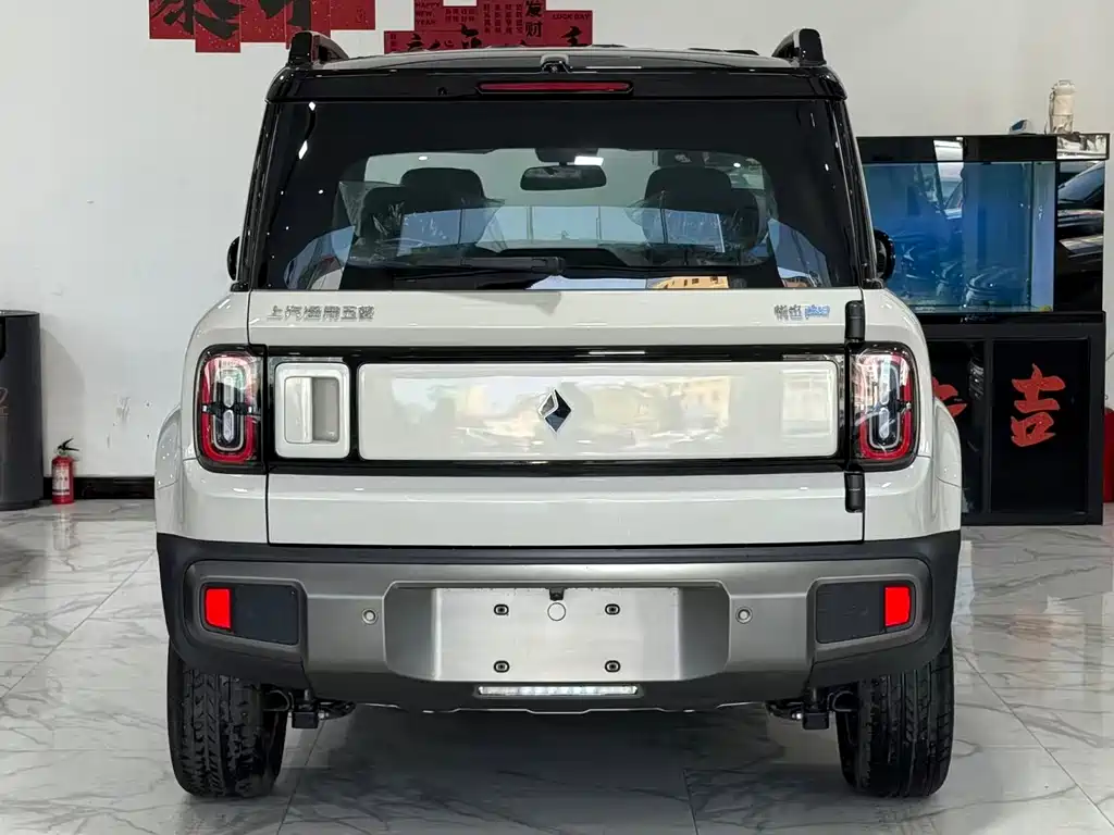 BAOJUN YUE ALSO PLUS