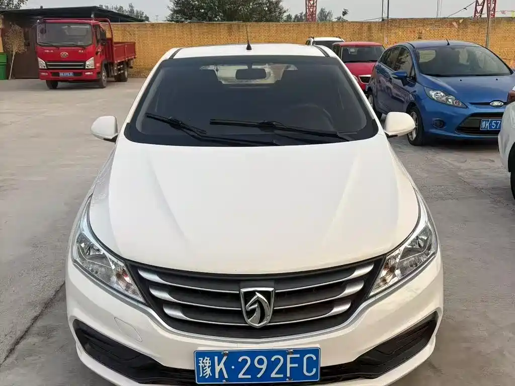 BAOJUN  310