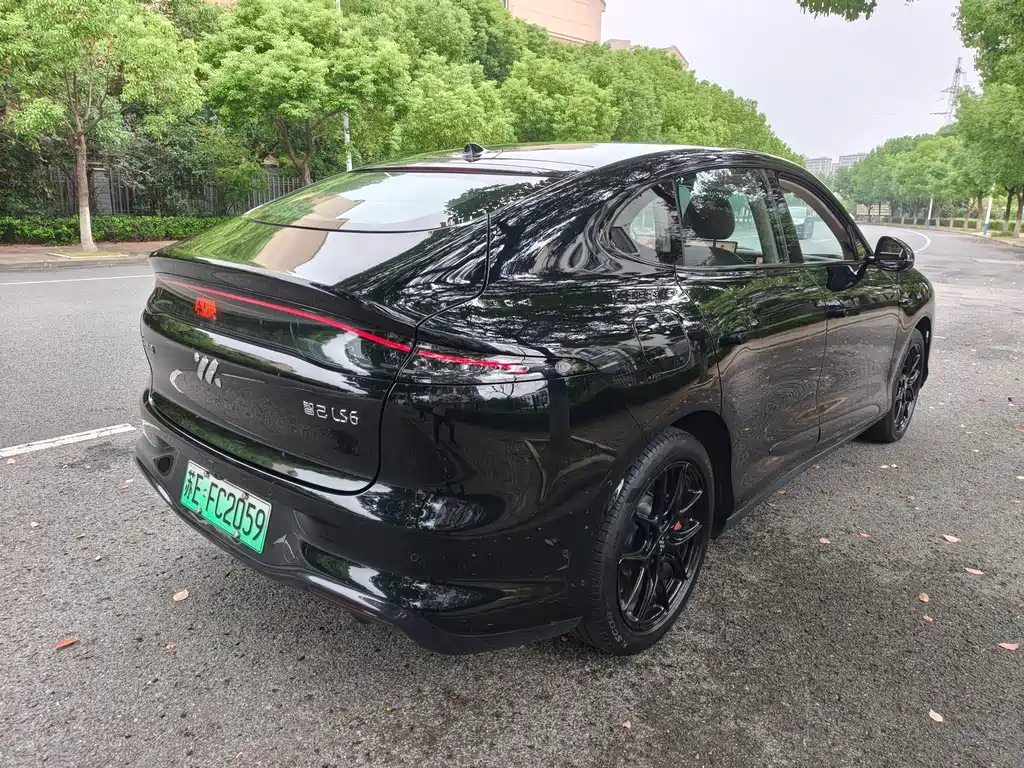 IM IM LS6 — миниатюра 10
