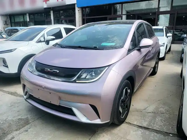 2022 BYD Dolphin