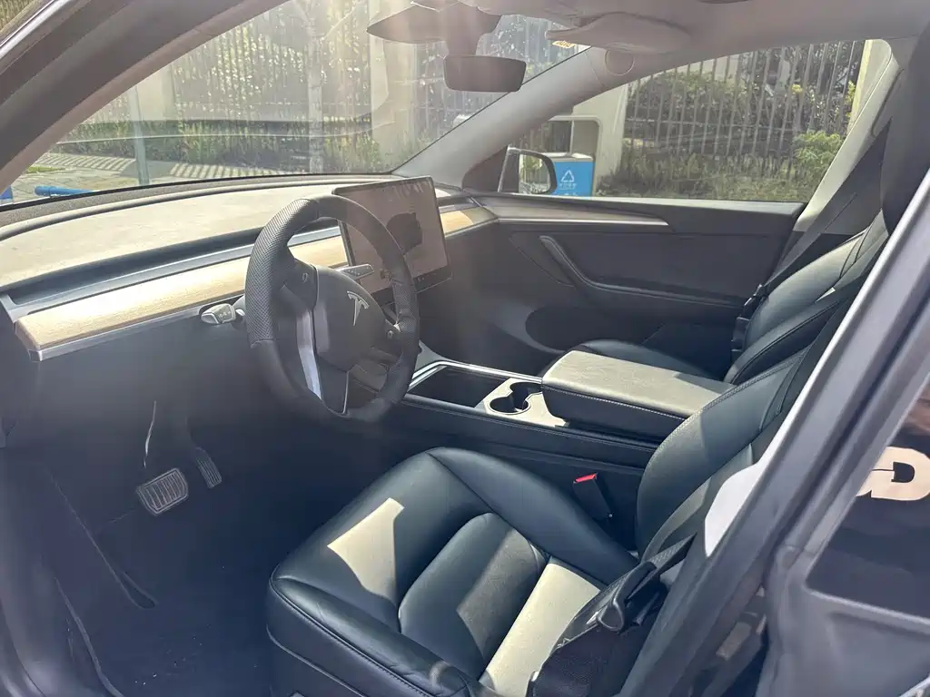 Tesla Model Y — миниатюра 10