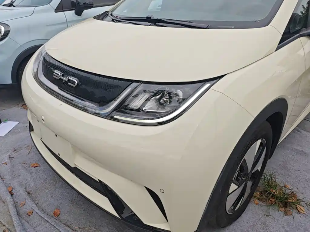 BYD Dolphin — миниатюра 24
