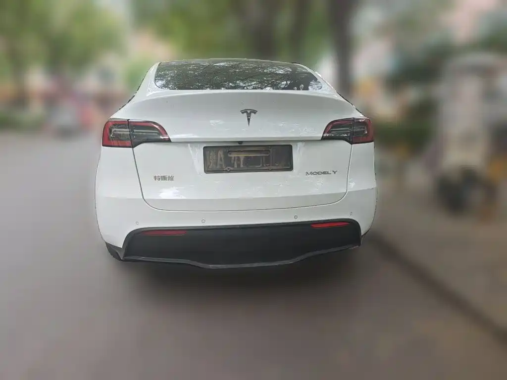 Tesla Model Y — миниатюра 5
