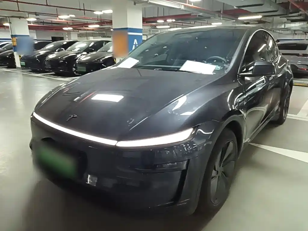 Tesla Model Y — миниатюра 2
