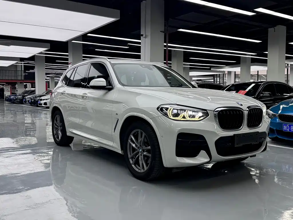 BMW X3 — миниатюра 3