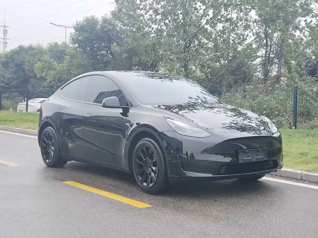 Tesla Model Y — миниатюра 3