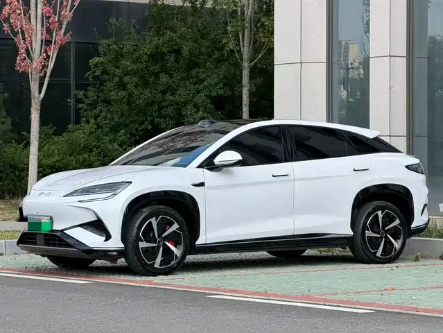 2025 BYD Sea Lion