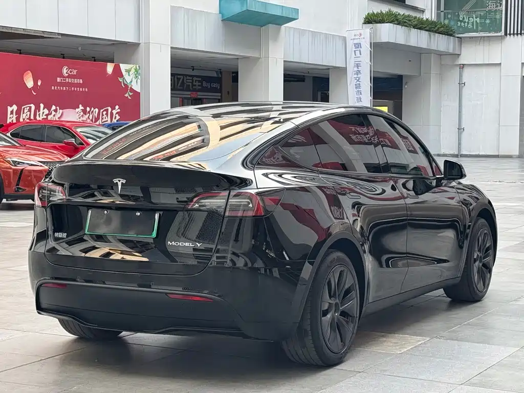 Tesla Model Y — миниатюра 12