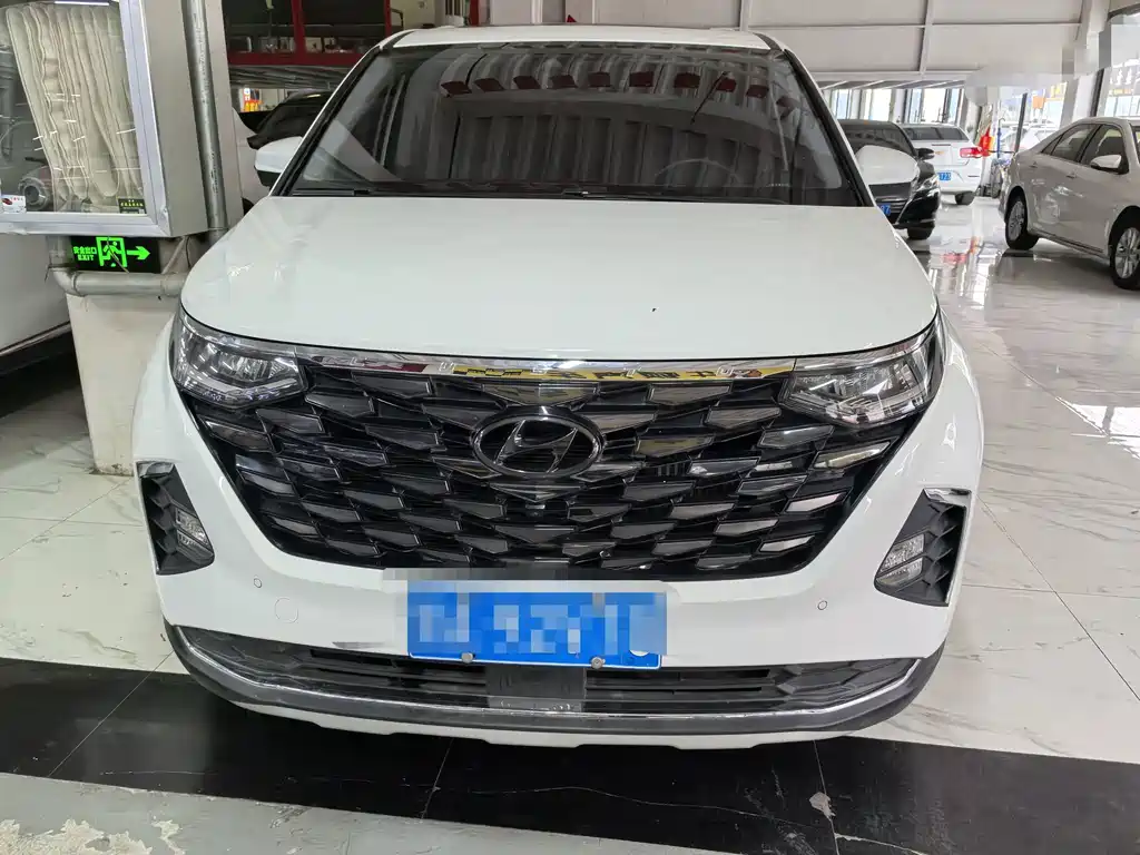Hyundai Custo — миниатюра 2