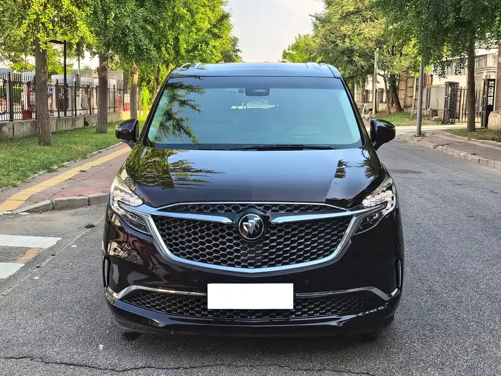 Buick GL8 — миниатюра 3