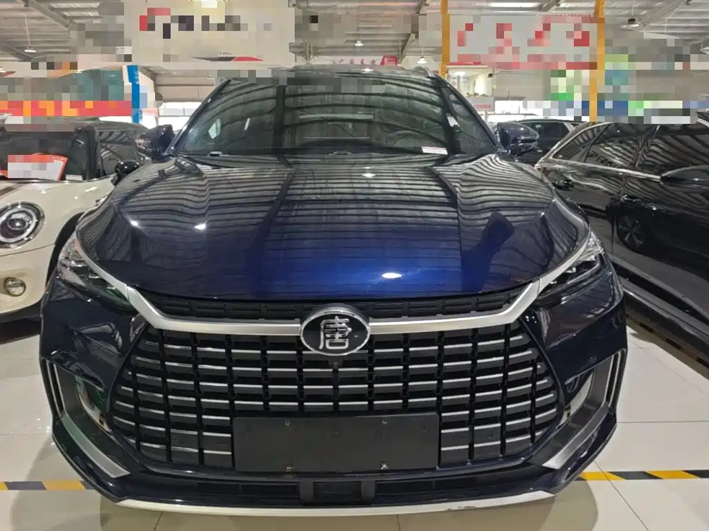 BYD Tang New Energy — миниатюра 3