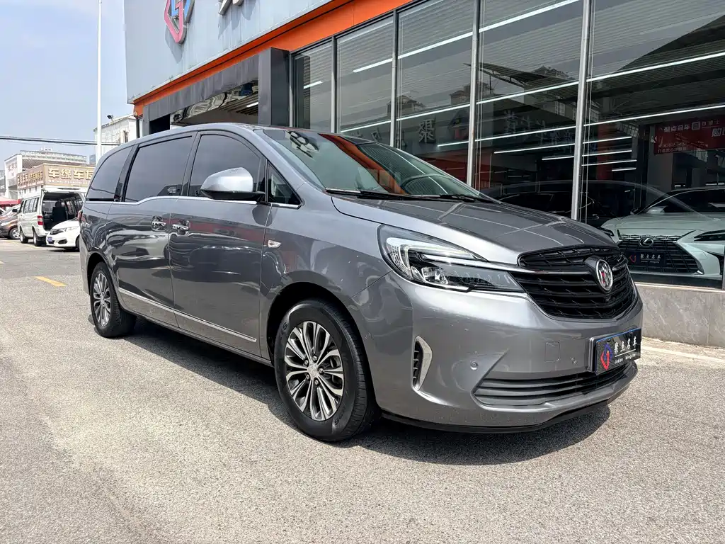 Buick GL8 — миниатюра 3