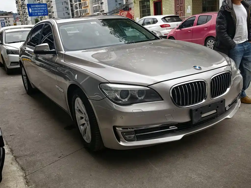 BMW 7 Series 730Li Premium Enjoy Type, фото 2