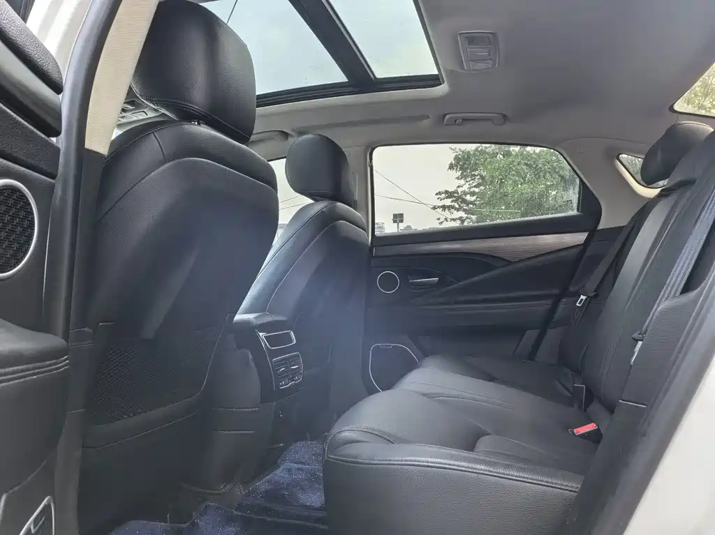 Geely Borui 2.4L Elegant Type, фото 6