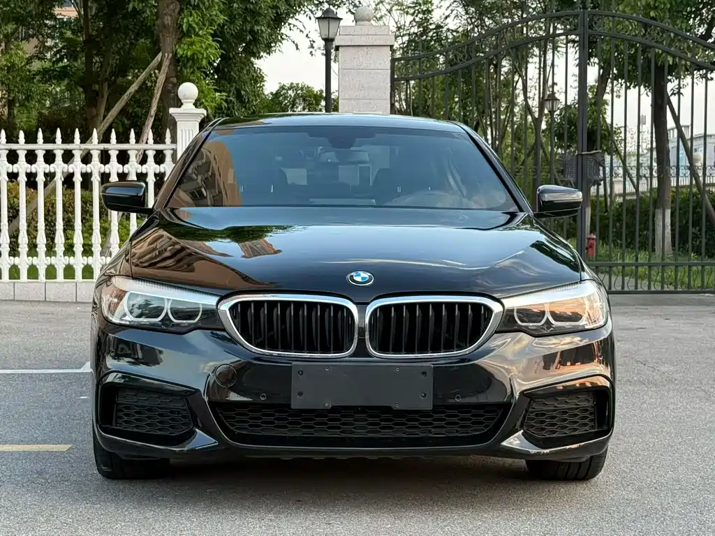 BMW 5 Series 5 2020 525Li M Sport
