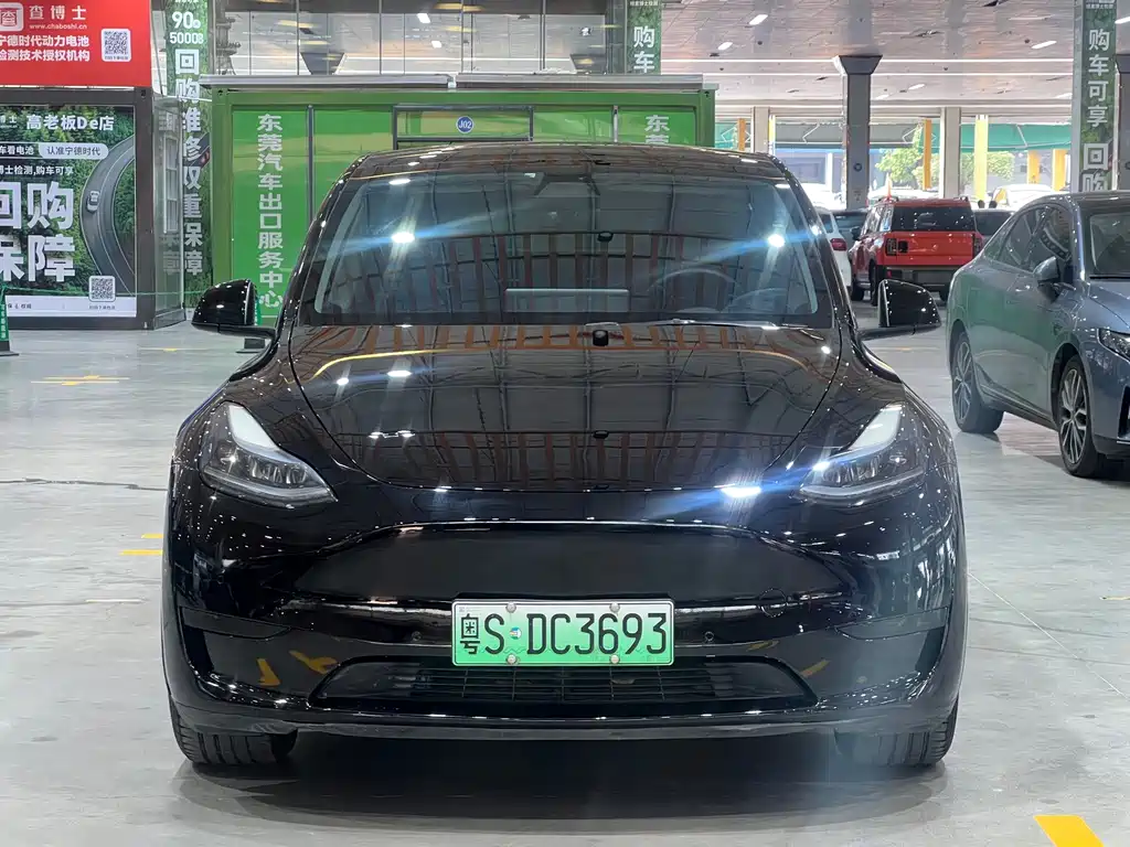 Tesla Model Y — миниатюра 2