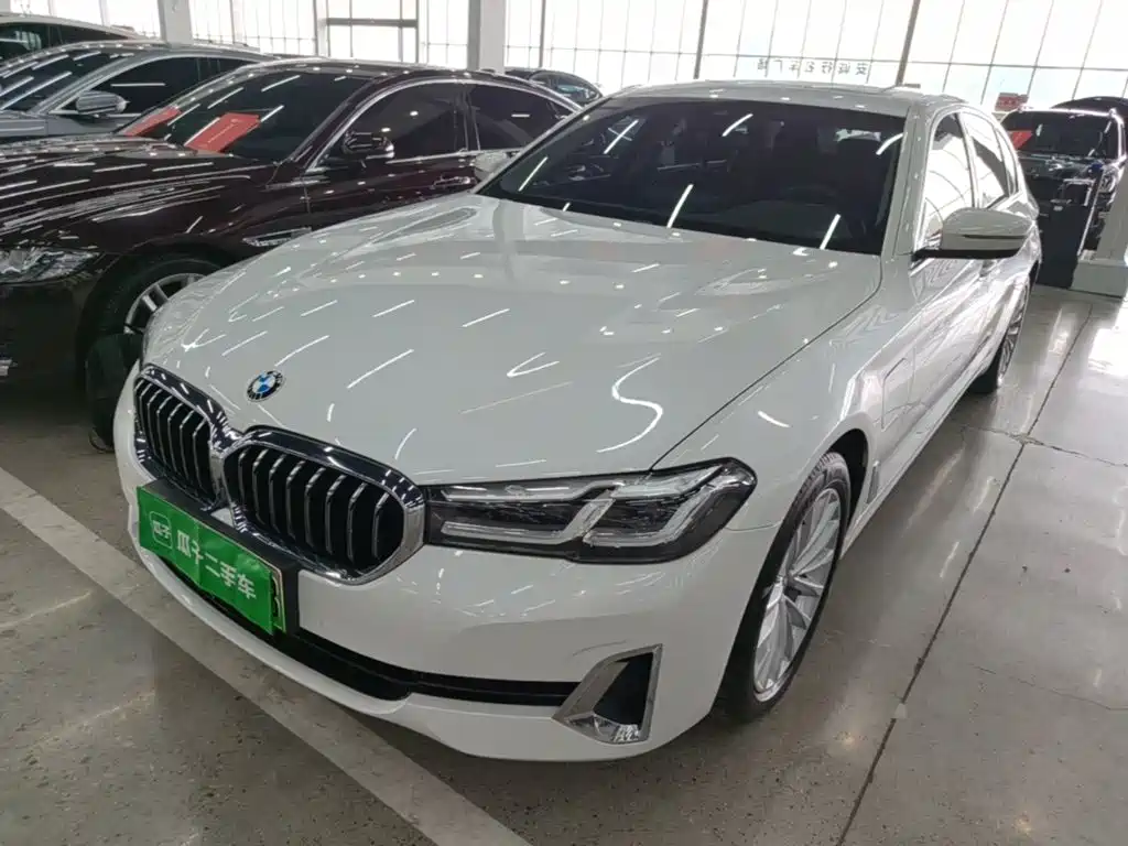 BMW 5 Series New Energy — миниатюра 2