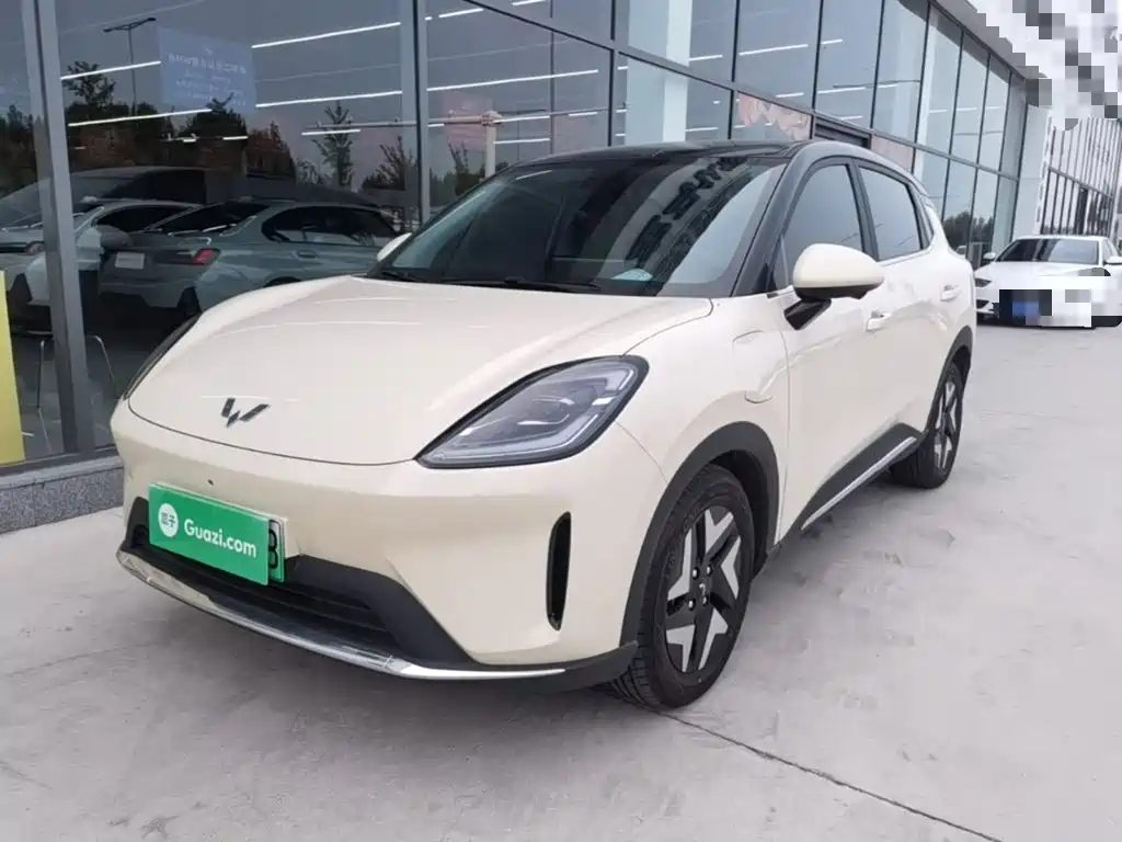 Wuling Bingo S