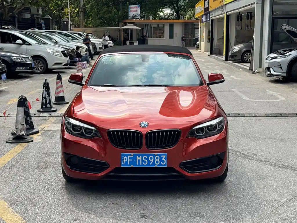 BMW 2 Series (Import)