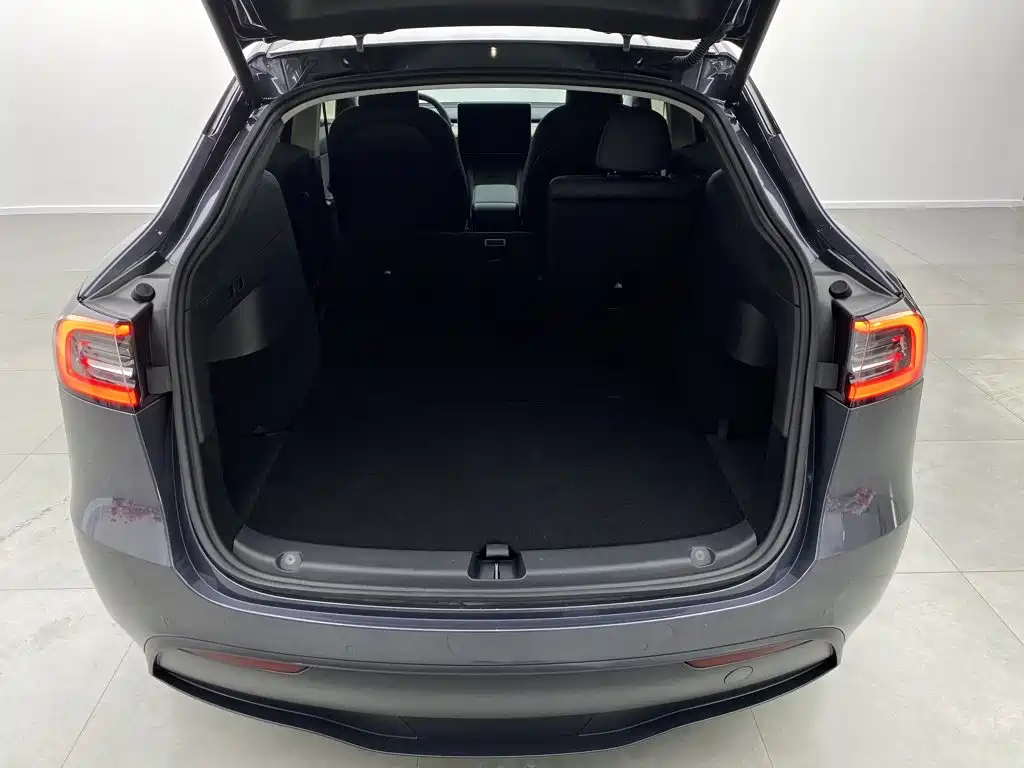 Tesla Model Y — миниатюра 3