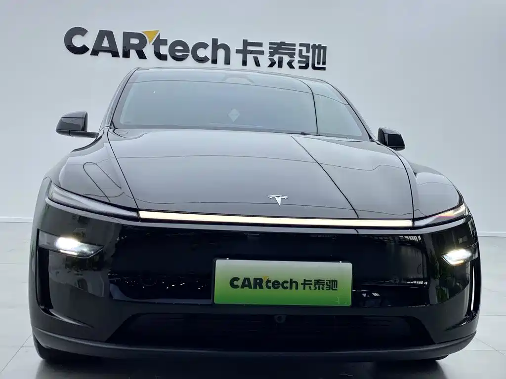 Tesla Model Y — миниатюра 10