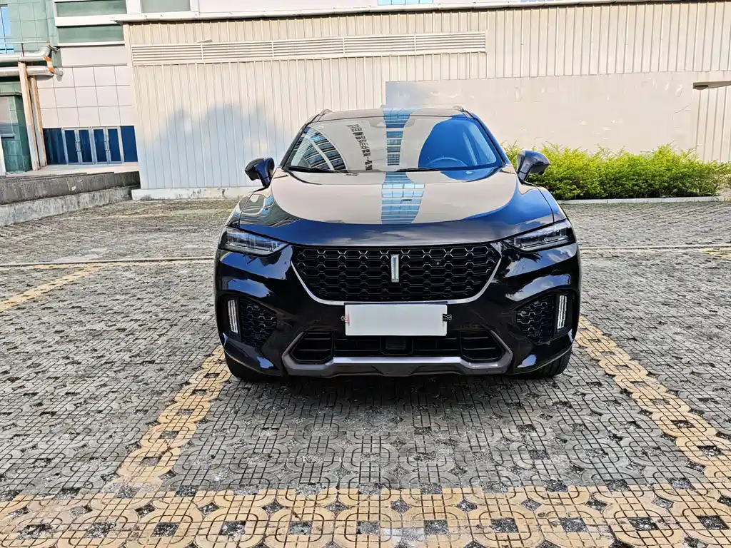 WEI PAI WEI BRAND VV7