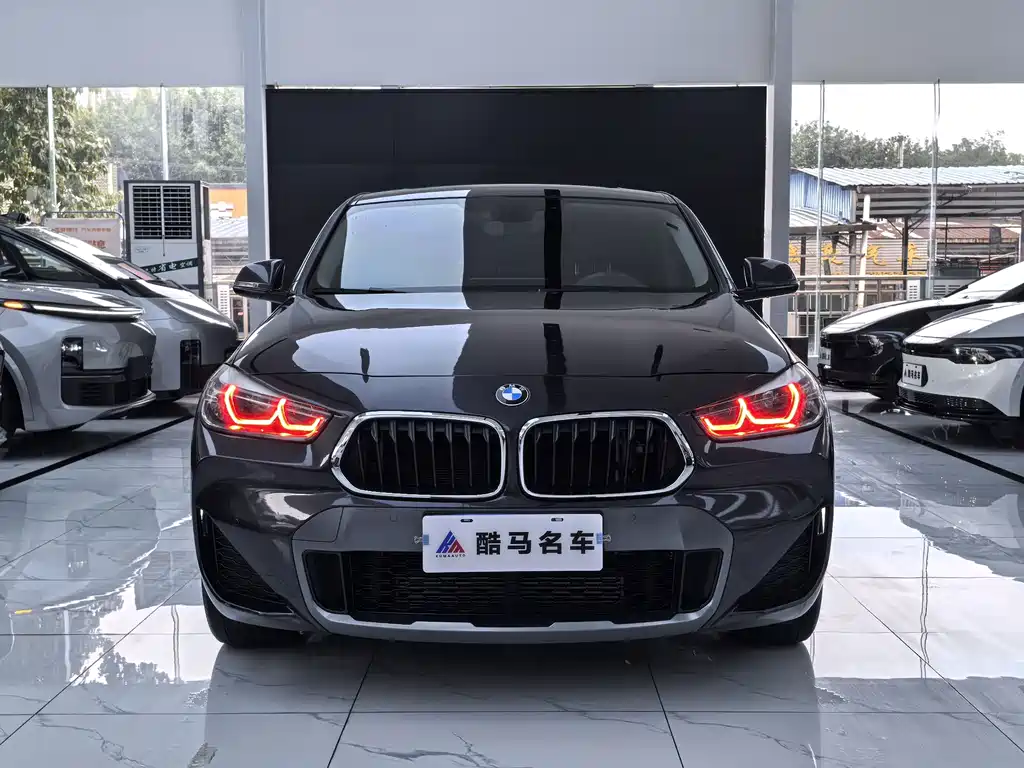 BMW X2 — миниатюра 2