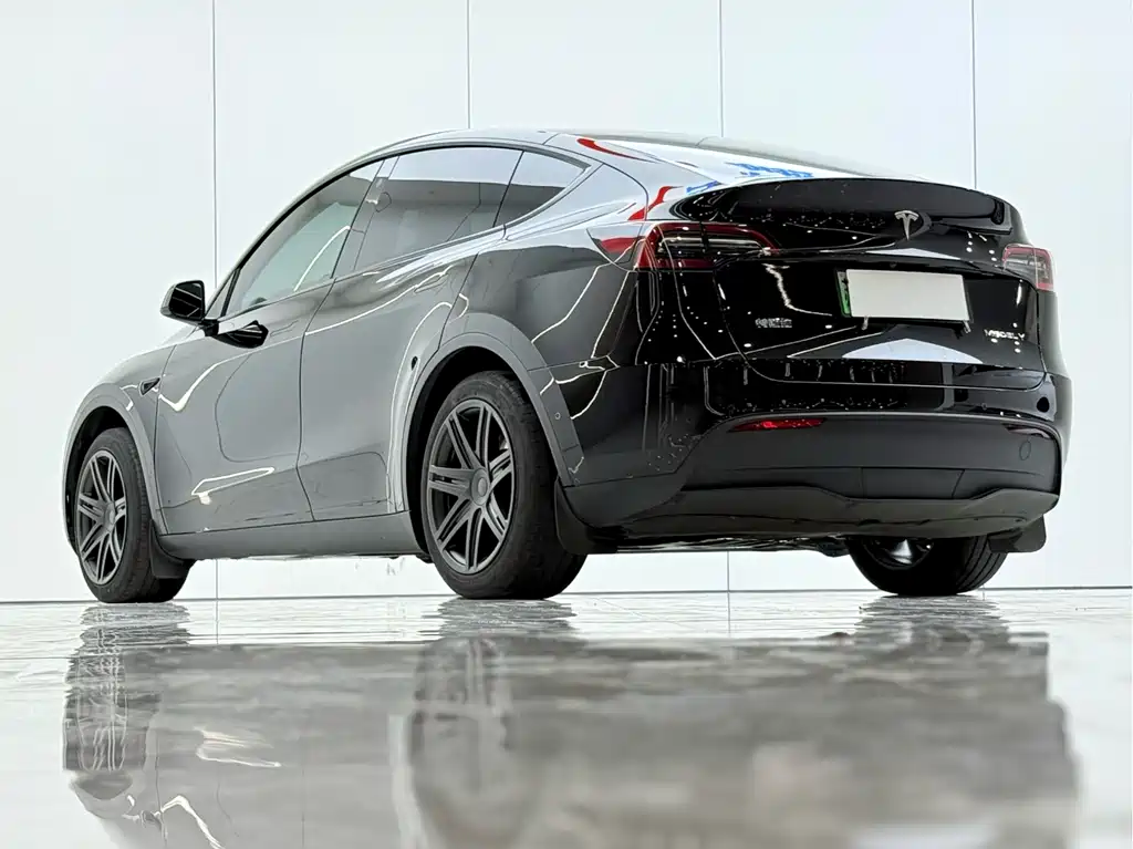 Tesla Model Y — миниатюра 14