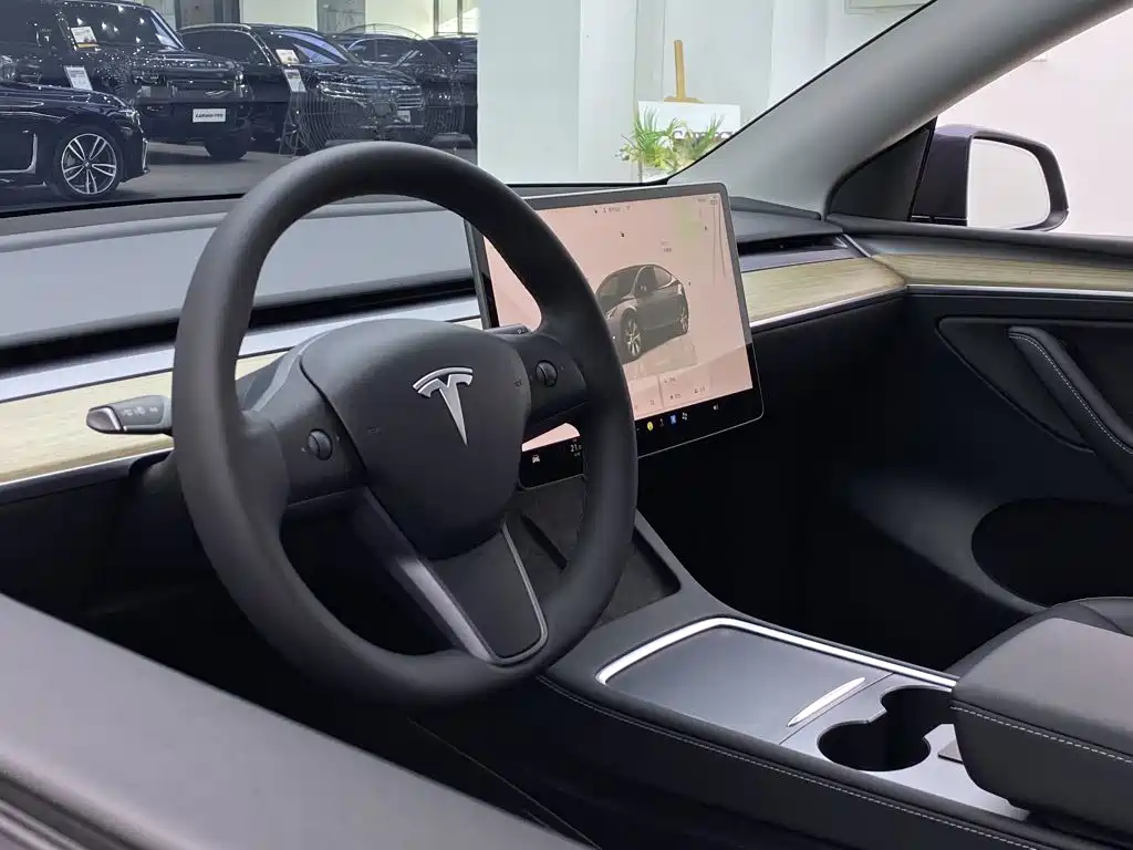 Tesla Model Y — миниатюра 30