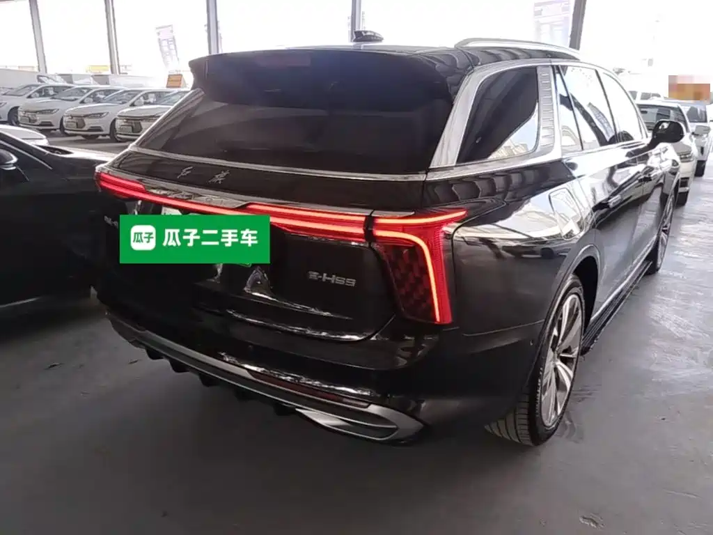 Hongqi Hongqi E-HS9 — миниатюра 7