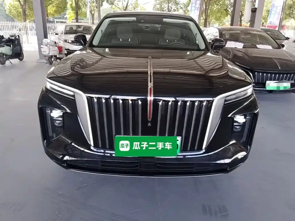 Hongqi Hongqi E-HS9 — миниатюра 3